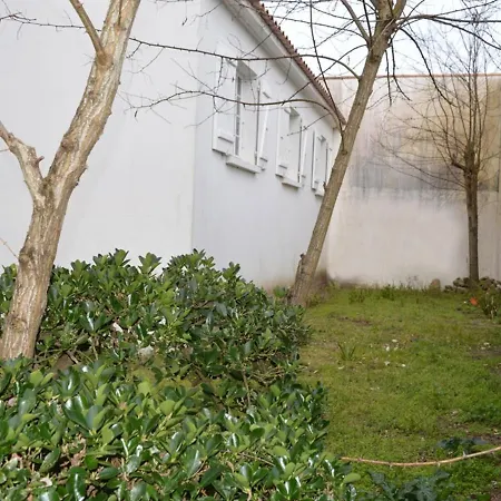 Maison A 220m De La Centrale, Jardin Clos, Terrasse, Proche Commerces, Animaux Acceptes - Fr-1-22-214 * 滨海拉特朗什